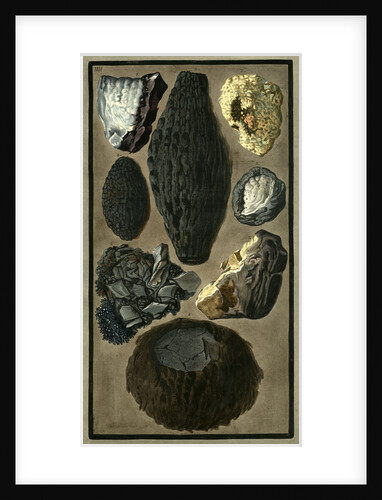 Rock specimens by Pietro Fabris