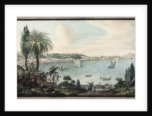 Naples by Pietro Fabris