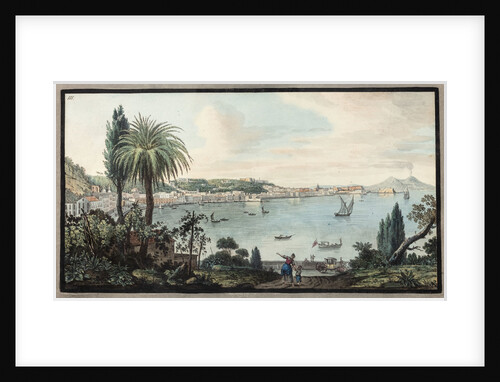 Naples by Pietro Fabris
