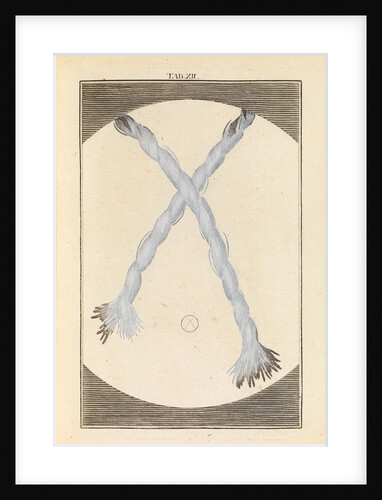 Lace threads by Martin Frobene Ledermuller