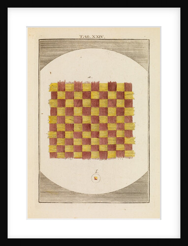 A piece of taffeta by Martin Frobene Ledermuller