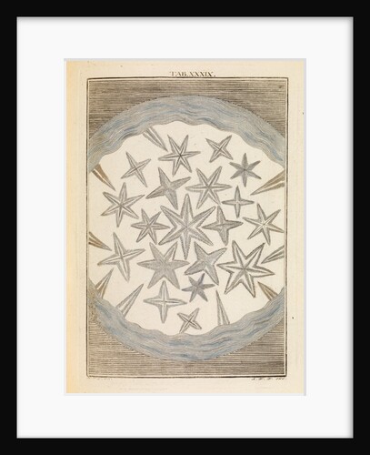 Camphor crystals by Martin Frobene Ledermuller