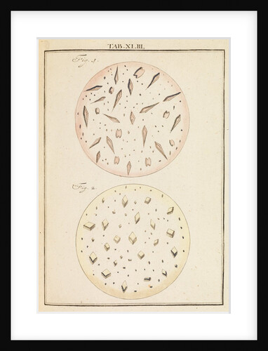 Crystals from wines by Martin Frobene Ledermuller