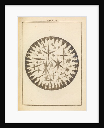 Glauber’s wonderful sal by Martin Frobene Ledermuller