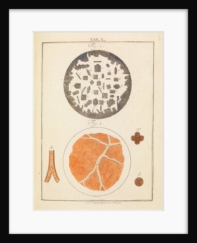 Rochelle salt and blood by Martin Frobene Ledermuller