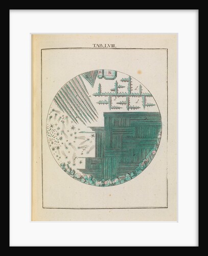 Alum by Adam Wolfgang Winterschmidt