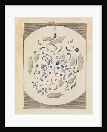 Steel sparks by Adam Wolfgang Winterschmidt