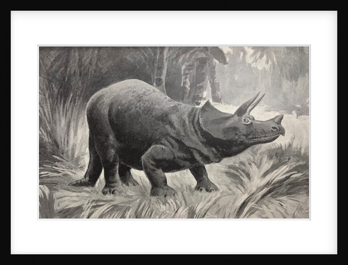 Triceratops by unknown