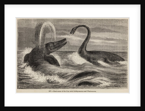 Ichthyosaur and plesiosaur by Unknown artist
