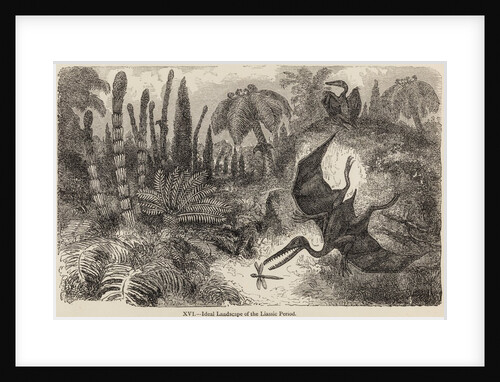 Pterodactyls by Unknown artist