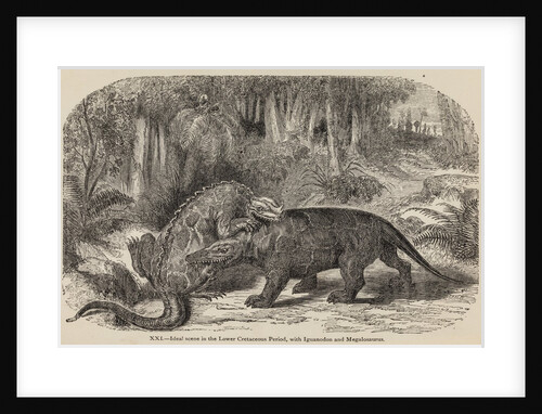 Iguanodon and megalosaurus by Unknown artist