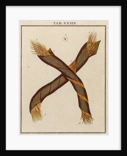 Gold thread by Adam Wolfgang Winterschmidt