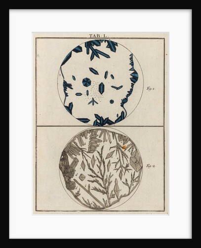 Salt specimens by Adam Wolfgang Winterschmidt