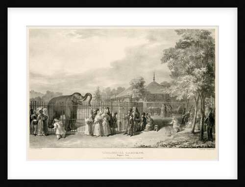 Elephant enclosure by George Johann Scarf