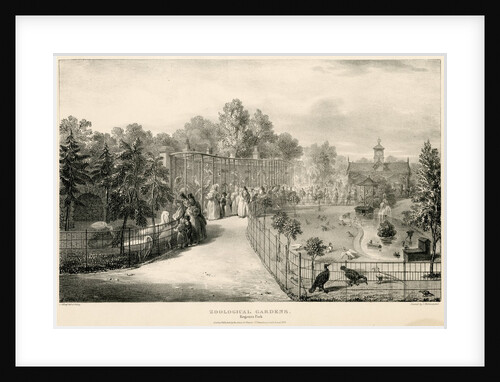 Bird enclosures by George Johann Scarf