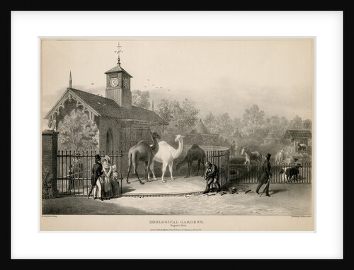 Llama enclosure by George Johann Scarf