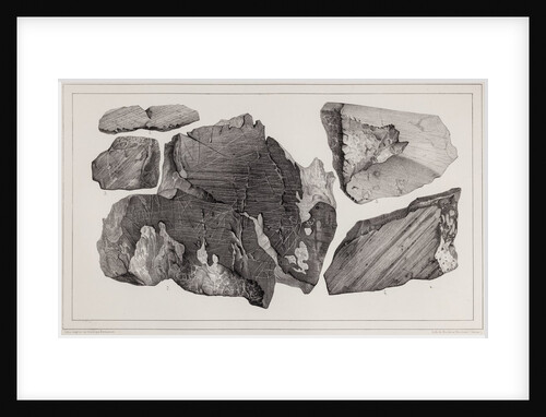 Glacial polish by Hercule Nicolet