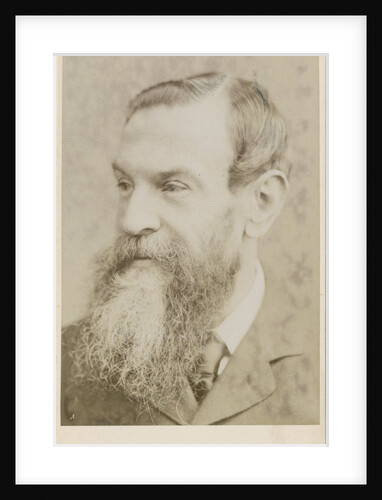 Portrait of John Attfield (1835-1911) by Maull & Fox