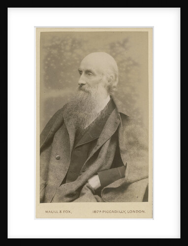 Portrait of John Beddoe (1826-1911) by Maull & Fox