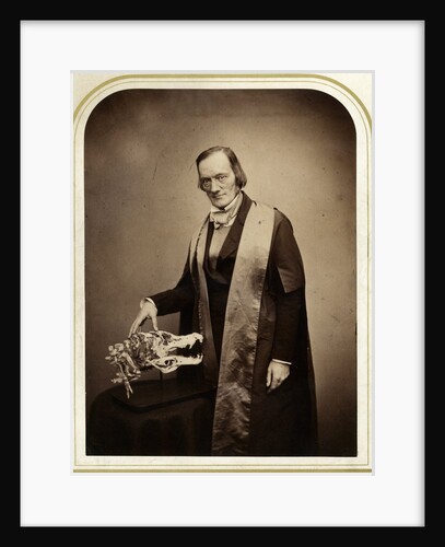Portrait of Richard Owen (1804-1892) by Maull & Polyblank
