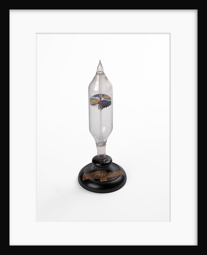 An otheoscope by Anonymous