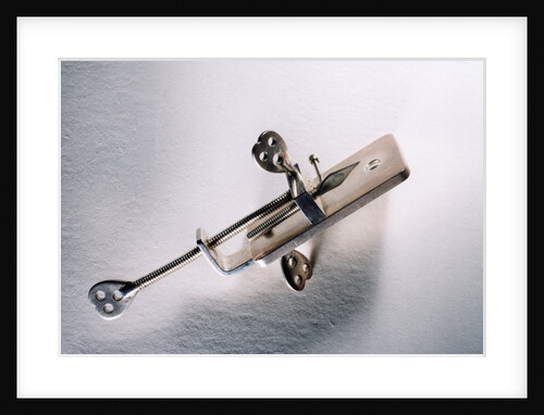 Leeuwenhoek's microscope by Antoni van Leeuwenhoek