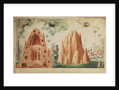 Landscape with termite hills by Henry Smeathman