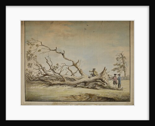 Storm-felled tree near Roehampton by Edward Edwards