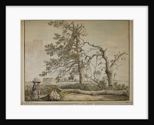 Damaged trees on an avenue to Barnes Common by Edward Edwards