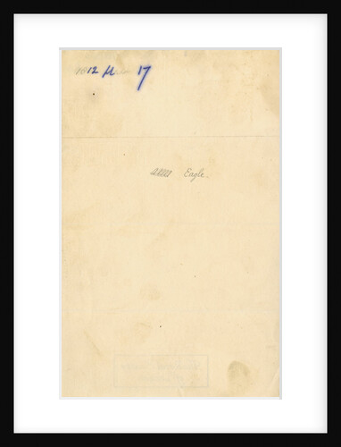 'Eagle [solvent gland]' by William Clift