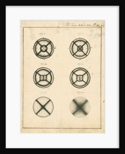 Cod eye lens under polarised light by David Brewster