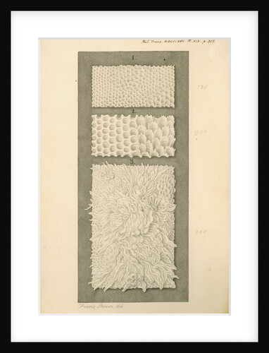 Interior surfaces of the human stomach and duodenum by Franz Andreas Bauer