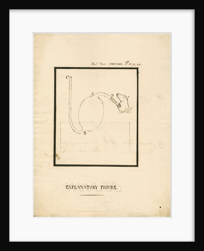Apparatus for inflating animal lungs by James Carson
