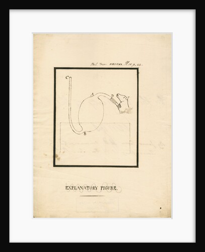 Apparatus for inflating animal lungs by James Carson