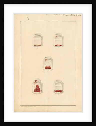 Baffin's Bay red snow fungus by Franz Andreas Bauer