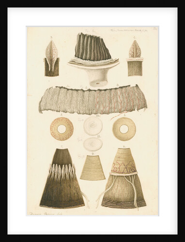 Goose eye by Franz Andreas Bauer