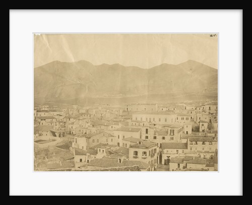 'Vulture' [earthquake damage] by Alphonse Bernoud Grellier