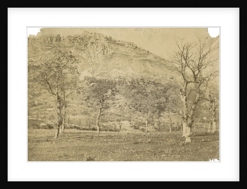 'Viggiano' by Alphonse Bernoud Grellier