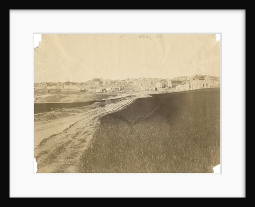 'Spinazzola' by Alphonse Bernoud Grellier