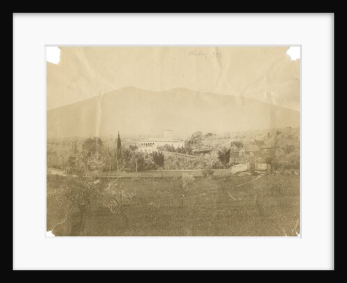 'Vulture from Melfi' by Alphonse Bernoud Grellier