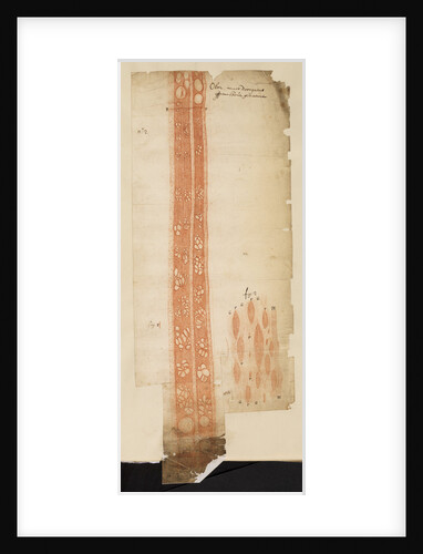 Section of elm wood by Anonymous