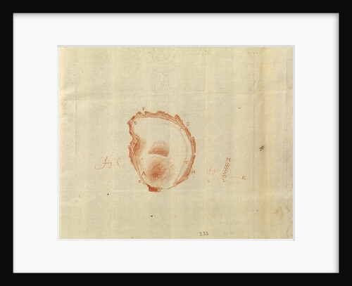 Microscopic view of an oyster shell by Antoni van Leeuwenhoek