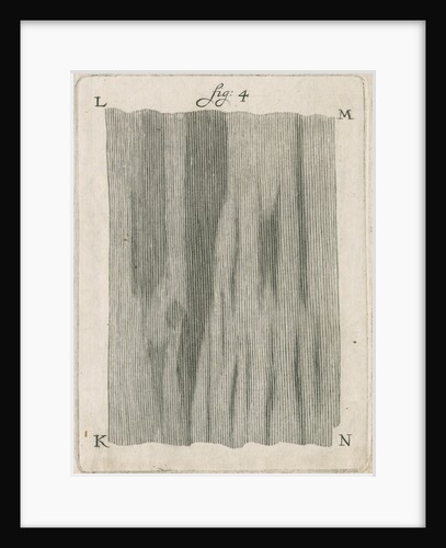 Microscopical observations of the structure of human teeth by Anonymous