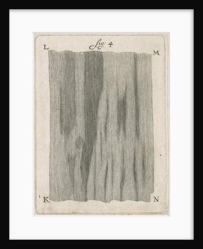Microscopical observations of the structure of human teeth by Anonymous