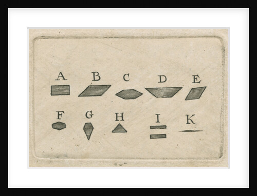 Microscopical observations of the structure of animal teeth by Anonymous