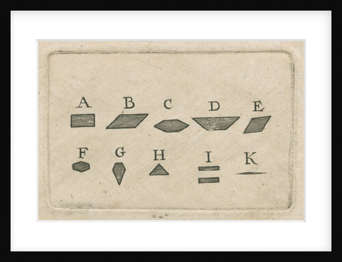 Microscopical observations of the structure of animal teeth by Anonymous