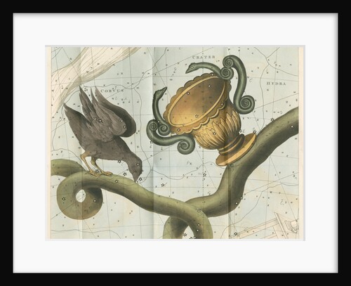 Constellations of Corvis, Crater and Hydra by Anonymous