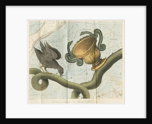 Constellations of Corvis, Crater and Hydra by Anonymous