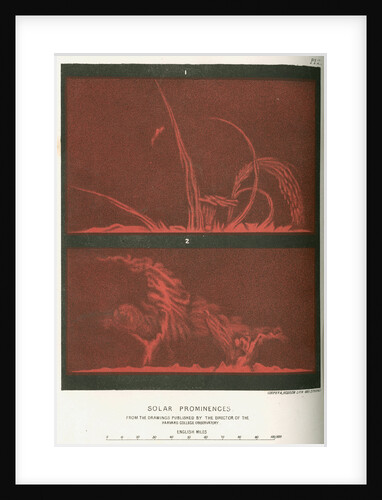 Solar prominences by Cooper & Hodson