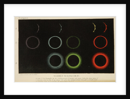 Corona of the eclipsed Sun, 1871 by Cooper & Hodson